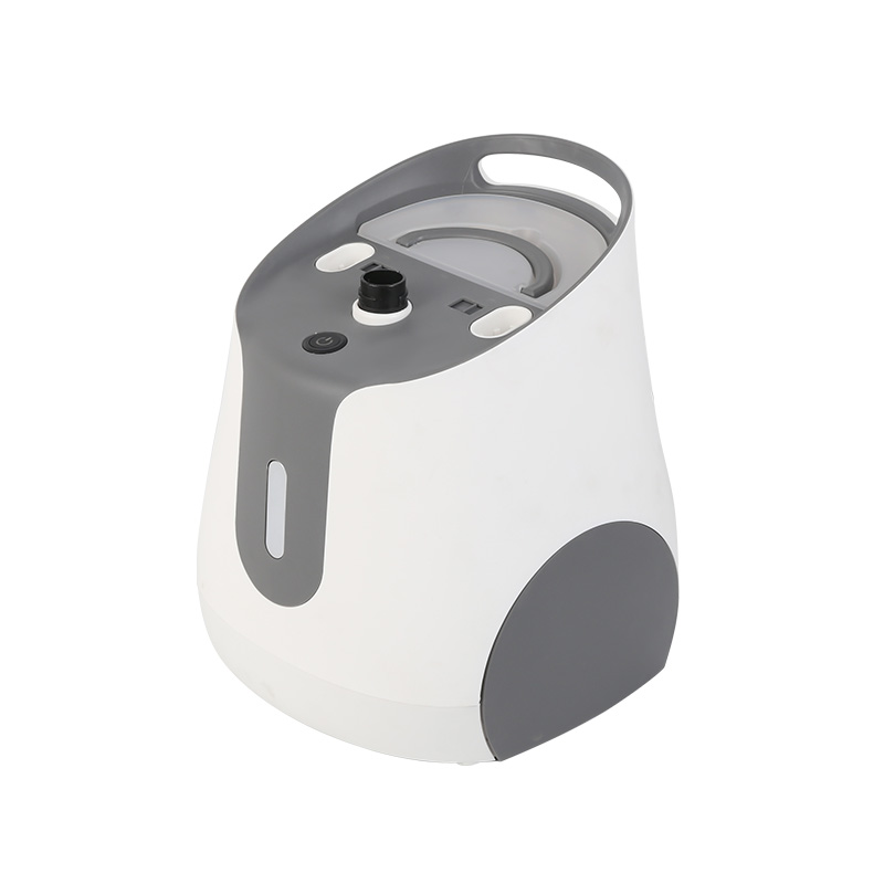 1800w Mini Household Double Rods New Design Stand Garment Steamer