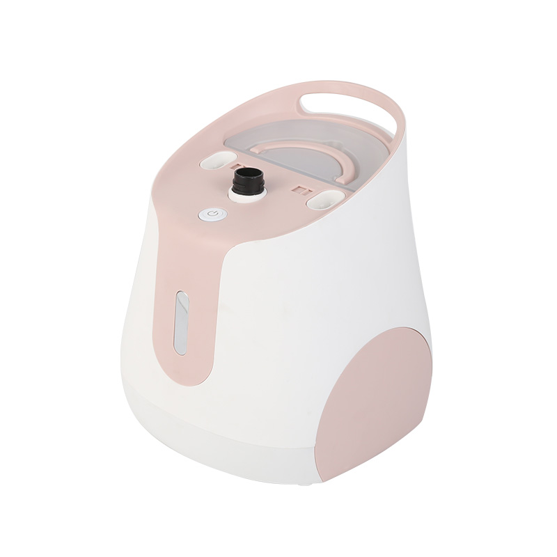 1800w Mini Household Double Poles New Design Vertical Cloth Steamer